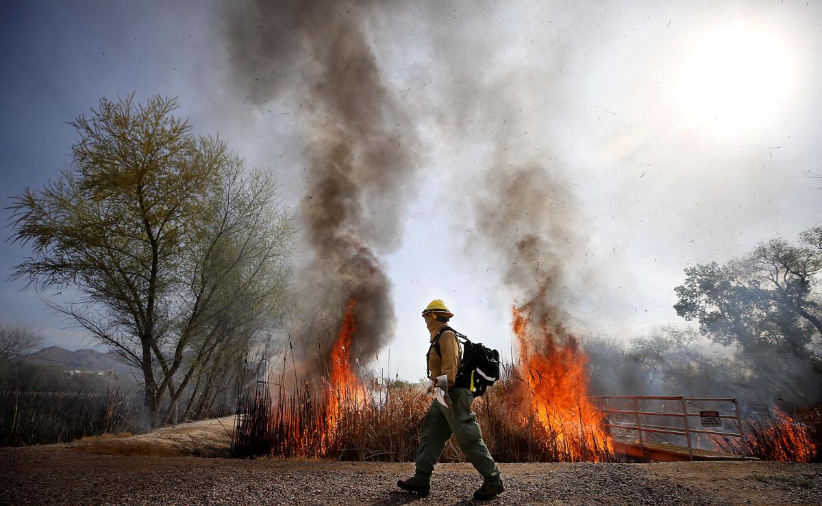 Controlled burn set for Tuesday in Tucson's NW side