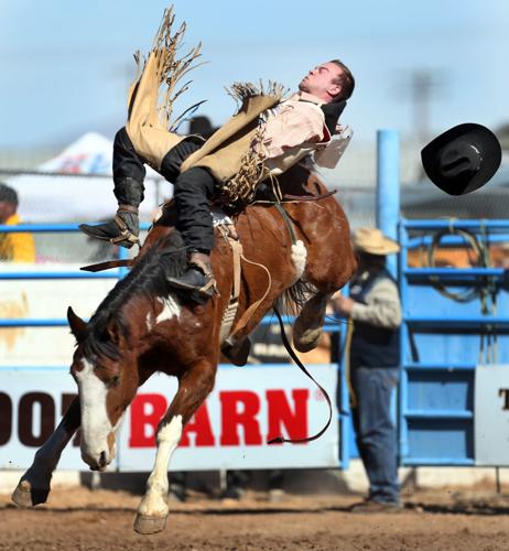 Tucson Rodeo Saturday