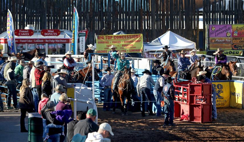Tucson Rodeo action