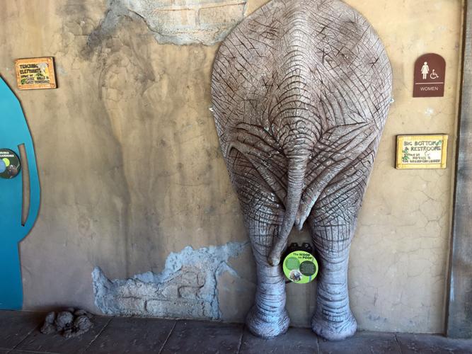 Amazing Little Adventures Restroom