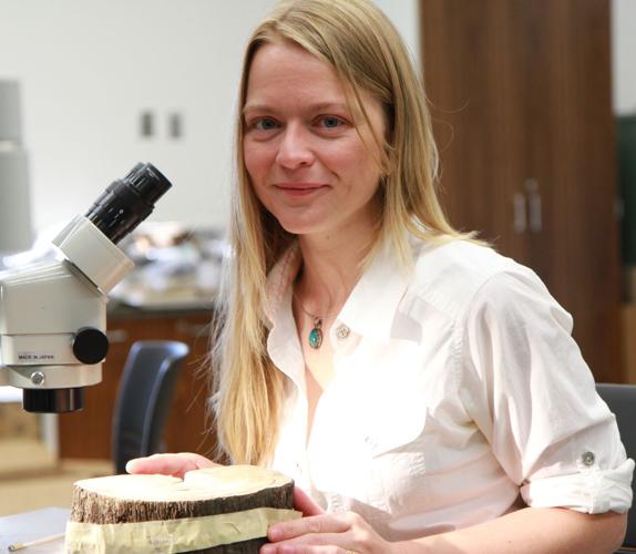 Radiocarbon dating photo