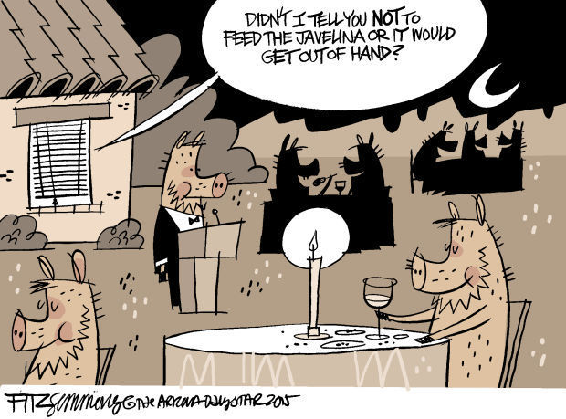 Last laugh: Wildlife