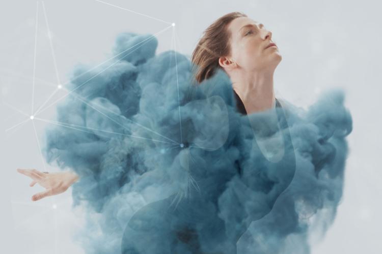 Pleiades Dance Concert in the Park