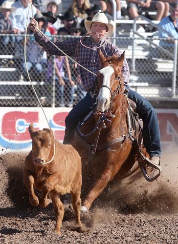 2016 Tucson Rodeo