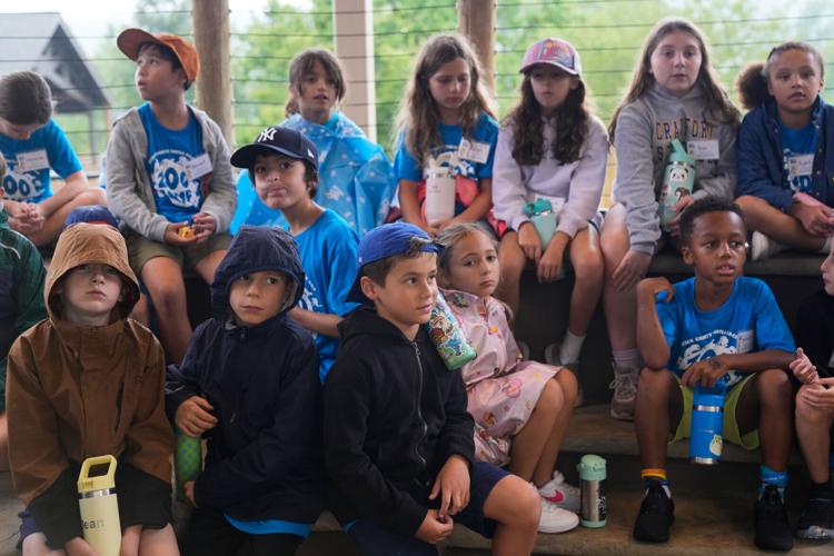 Zoos-Viewing Veterinarians