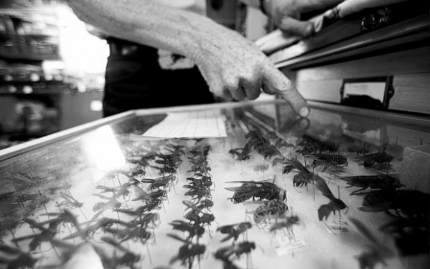 'Excruciating, unrelenting pain basically shuts down any function that you can do other than awareness of the pain'  