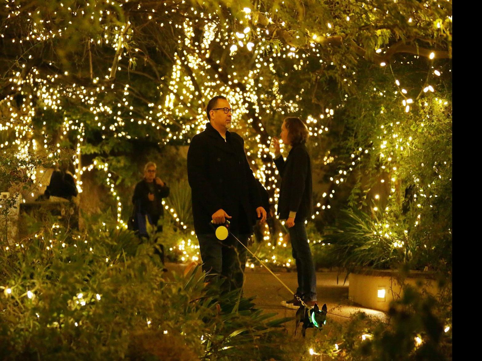Whats Happening In Tucson Over Christmas 2022 47 Fun Things To Do In Tucson This December 2021 | To Do | Tucson.com