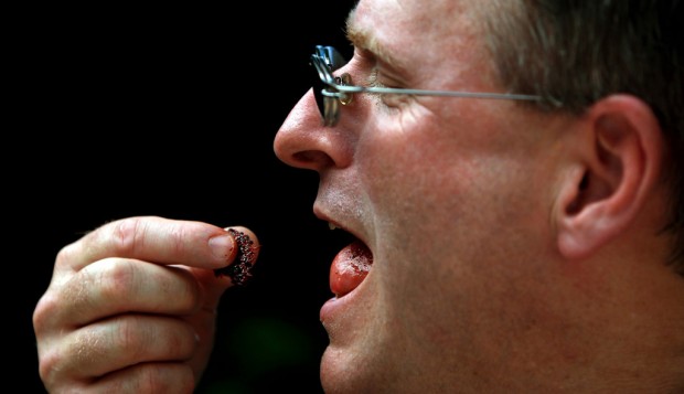 Join in the Saguaro Harvest celebration    