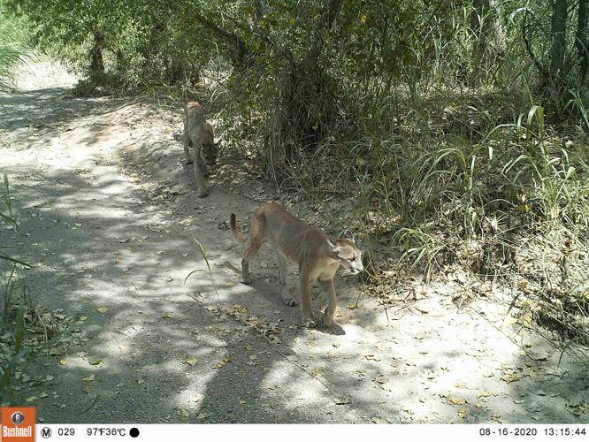 San Bernardino Wildlife Refuge