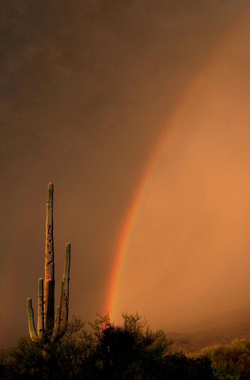 Monsoon