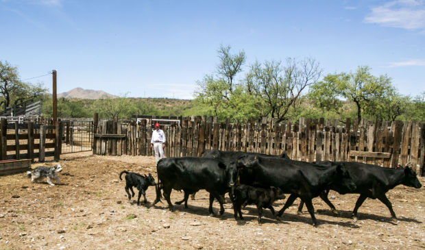 The Andrada Ranch
