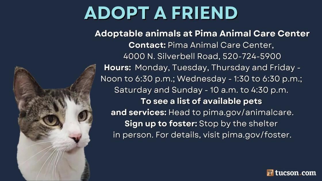 Adopt a friend: Local pets up for adoption for July 19