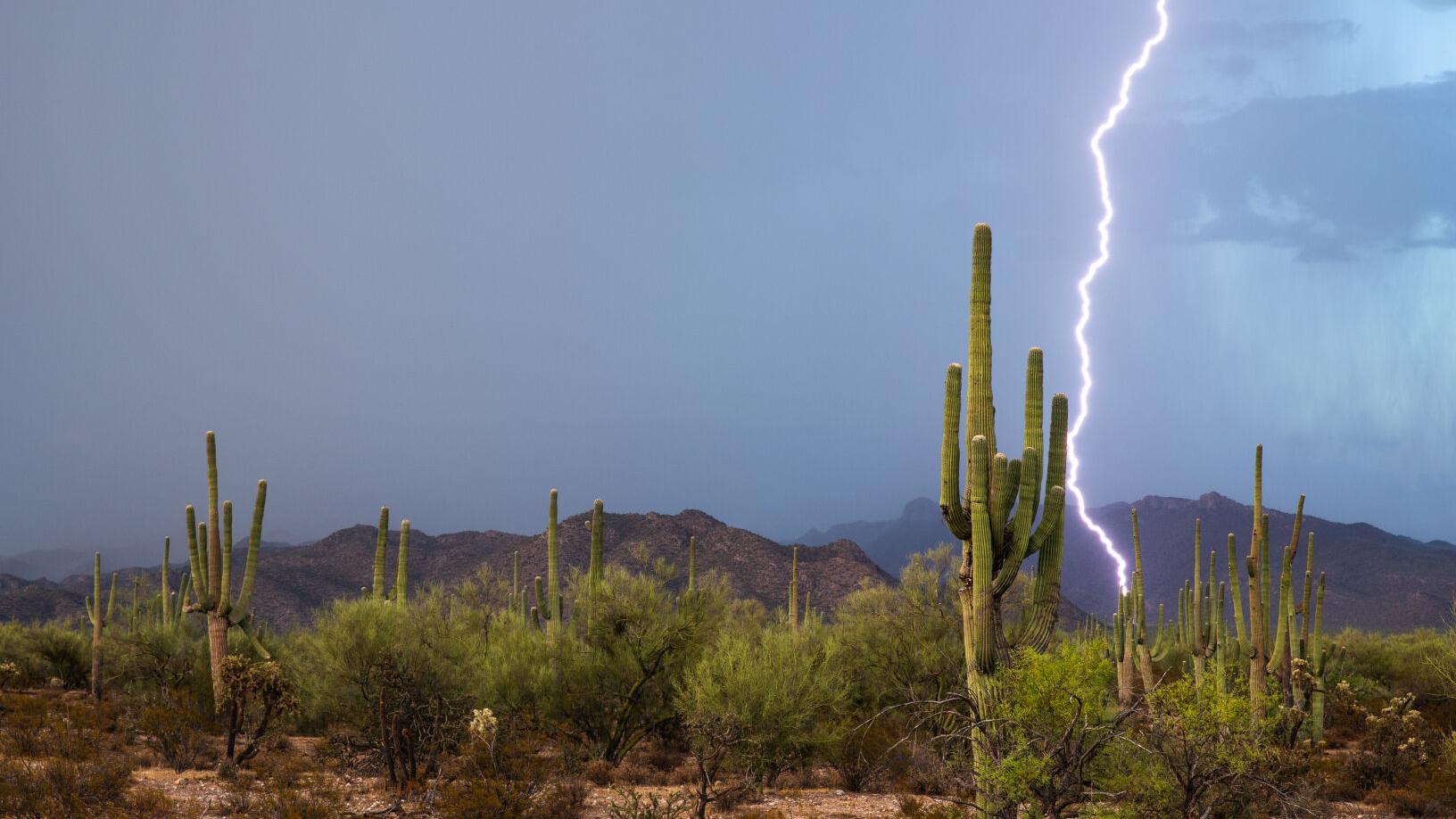 Monsoon-themed #ThisIsTucson event highlights local artists - Vimarsana News