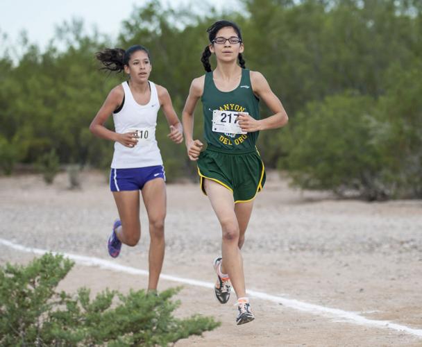 2014 Tucson All Star Athletes
