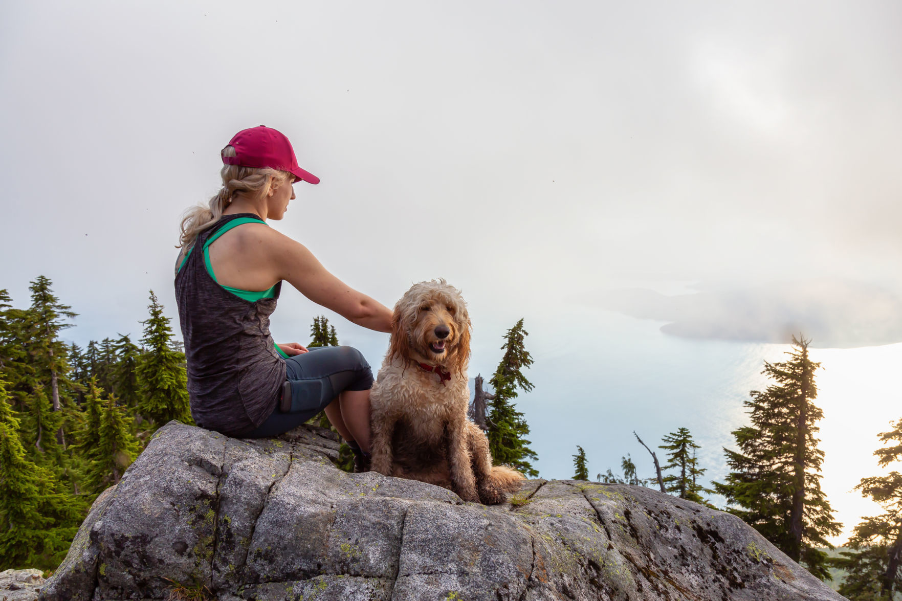 goldendoodle hiking