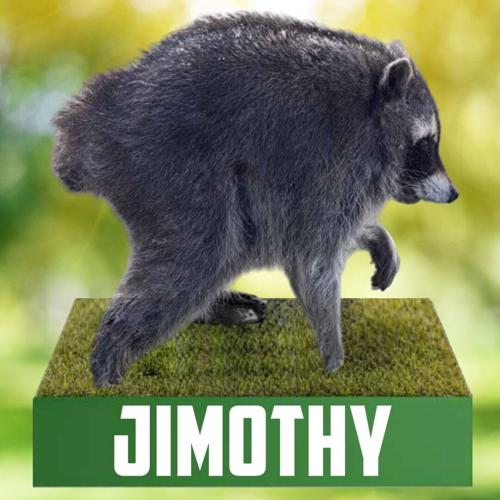 Jimothy figure