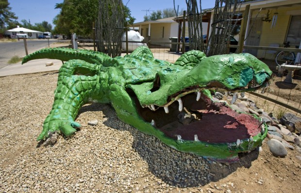 Tucson Oddity: Magic Carpet's quirky beings take up new lives across city    