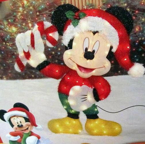 Stolen holiday lights