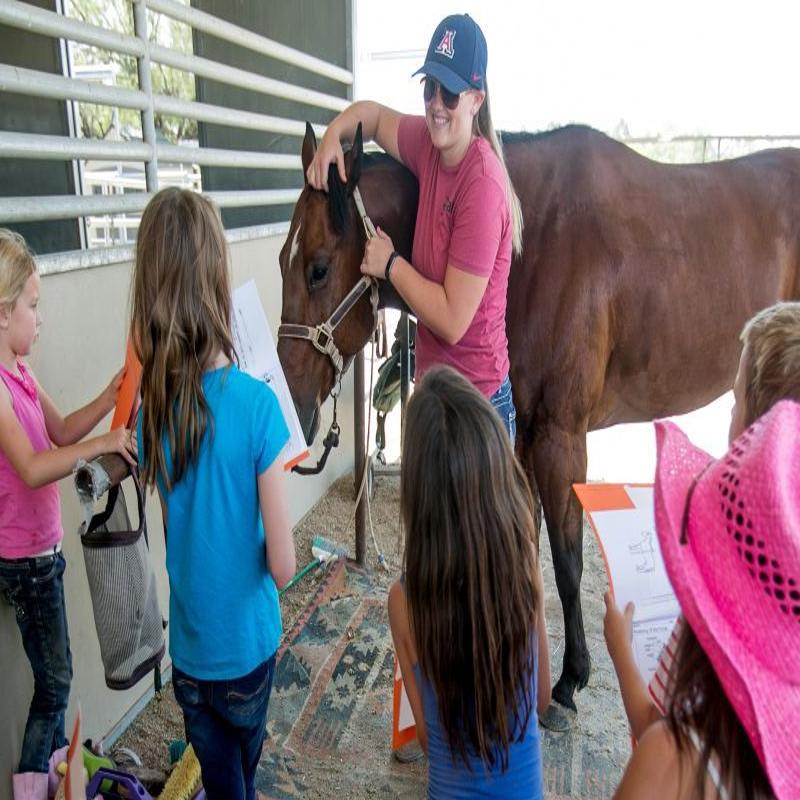 Tucson Summer Camps And Parents Prep For A Summer Unlike Any Other