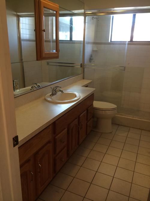 Bathroom Remodel #3 - Before