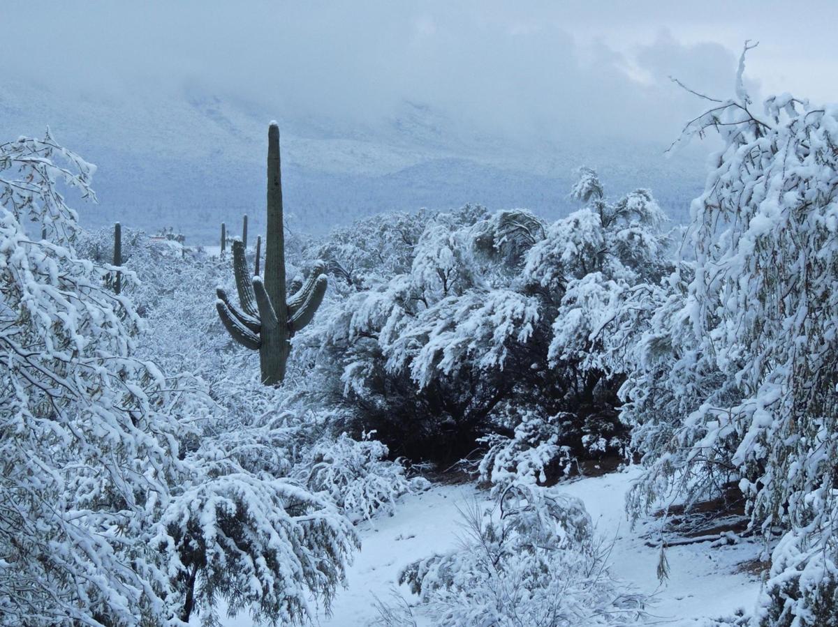 6 safety tips for driving in Tucson's snow