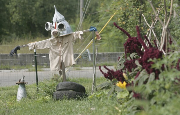 farming: the new urban ADVENTURE   