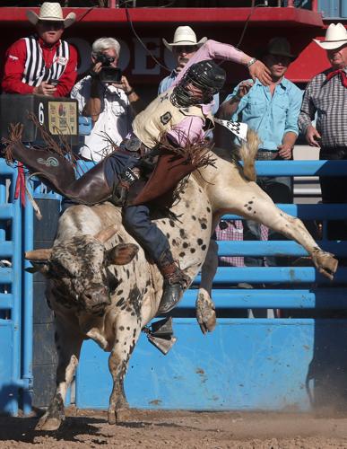 2016 Tucson Rodeo