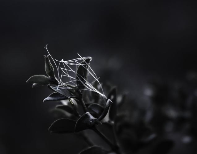 Adventures in Nature: 2016 High School Nature Photo Contest