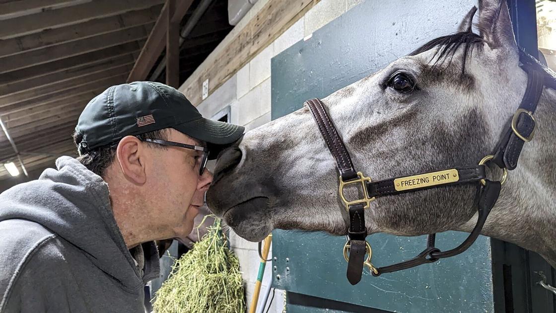 Stables, trainers try to move through grief over euthanized horses