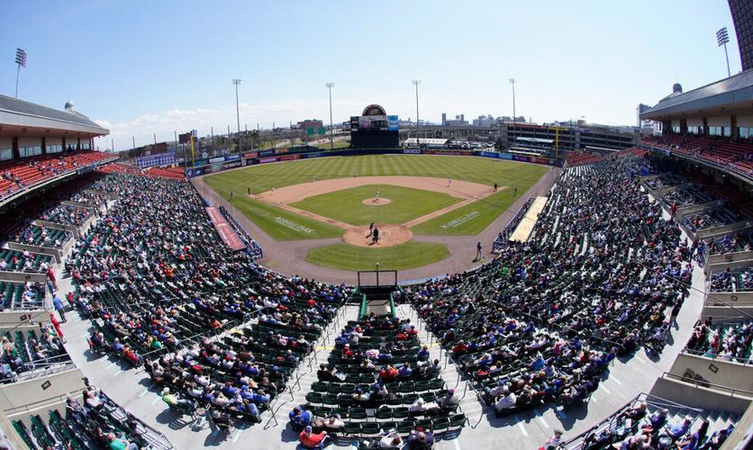 Buffalo Bisons baseball