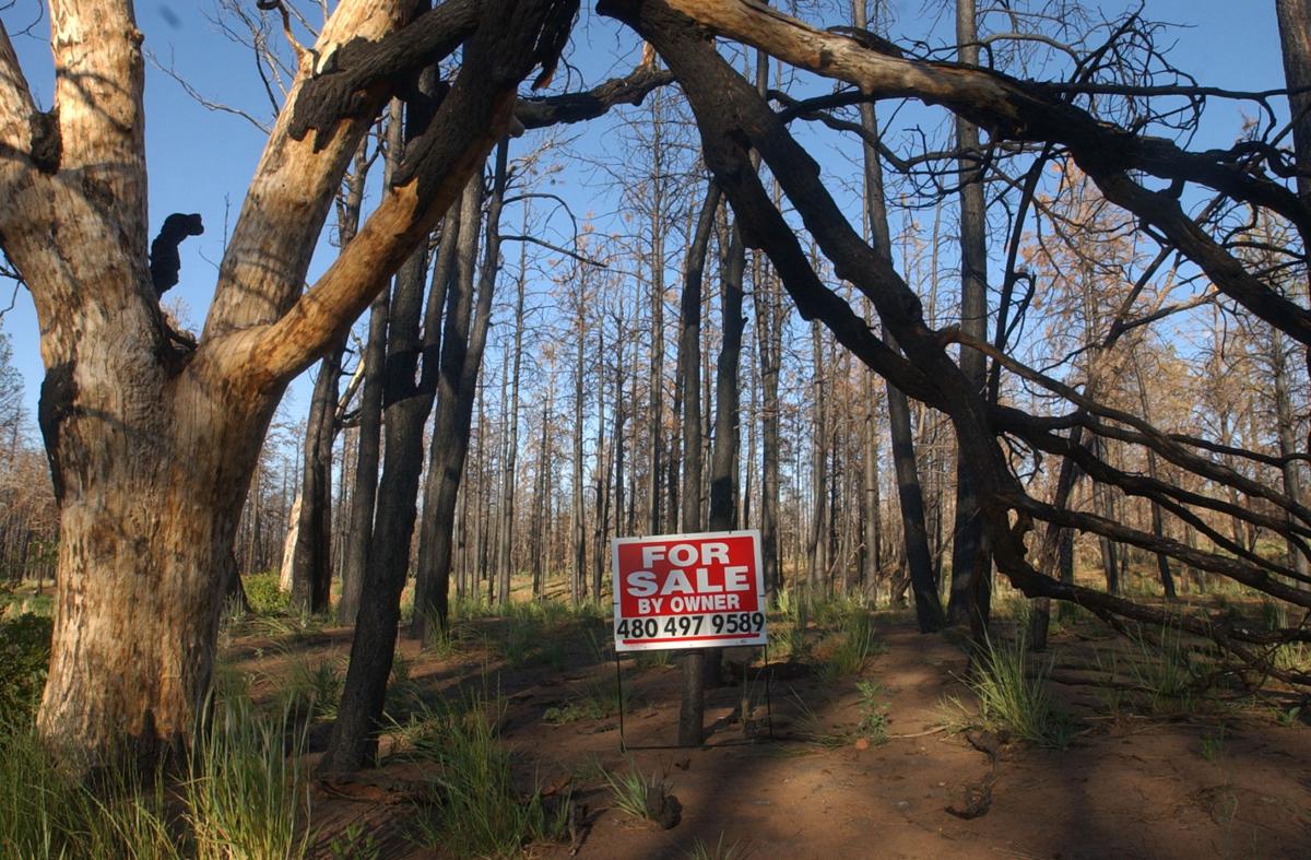 Rodeo-Chediski anniversary