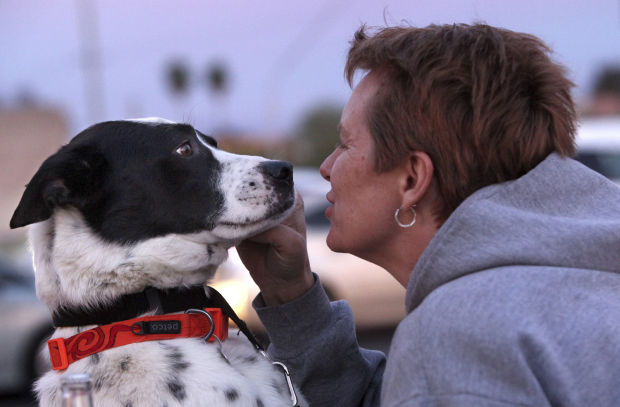 Food truck roundup for charity