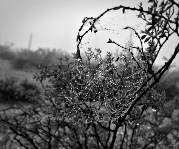 Adventures in Nature: 2016 High School Nature Photo Contest