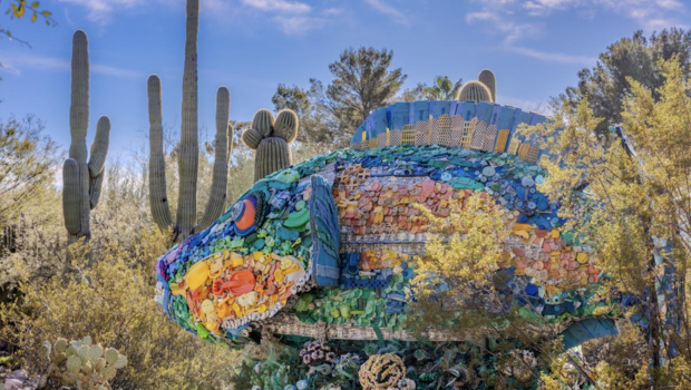 Tucson Botanical Gardens_Sponsored_ThisIsTucson