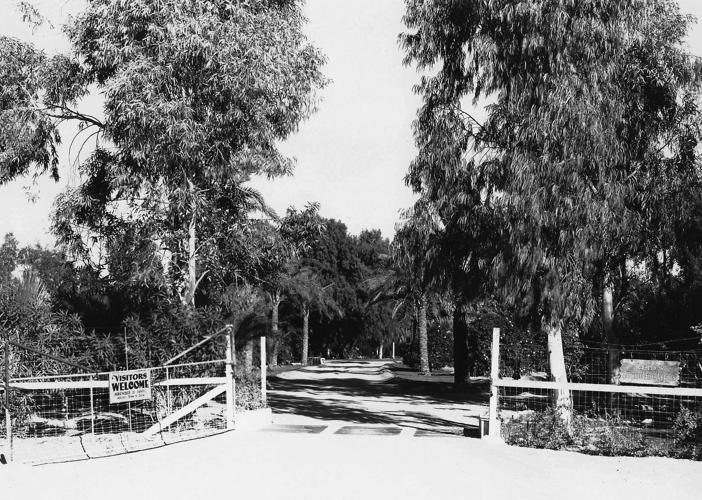 Streetsmarts: Orange Grove Road