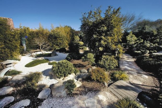 Japanese style fits desert yards  
