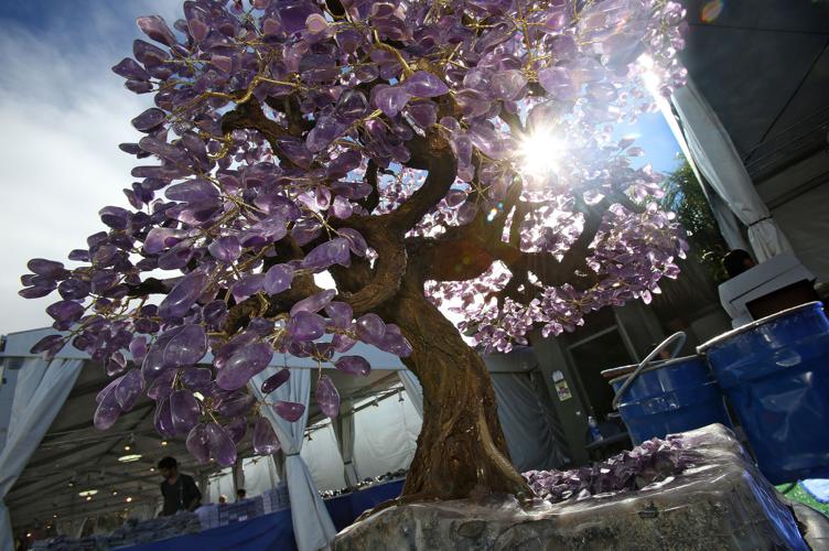 Tucson Gem, Mineral and Fossil Showcase