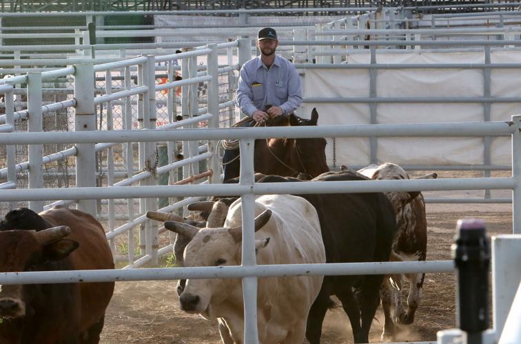 Beutler and Son Rodeo Company