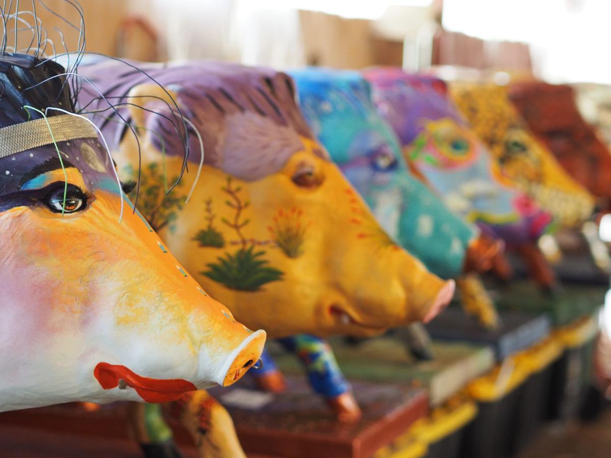 Art exhibition brings dozens of brightly colored javelina sculptures to