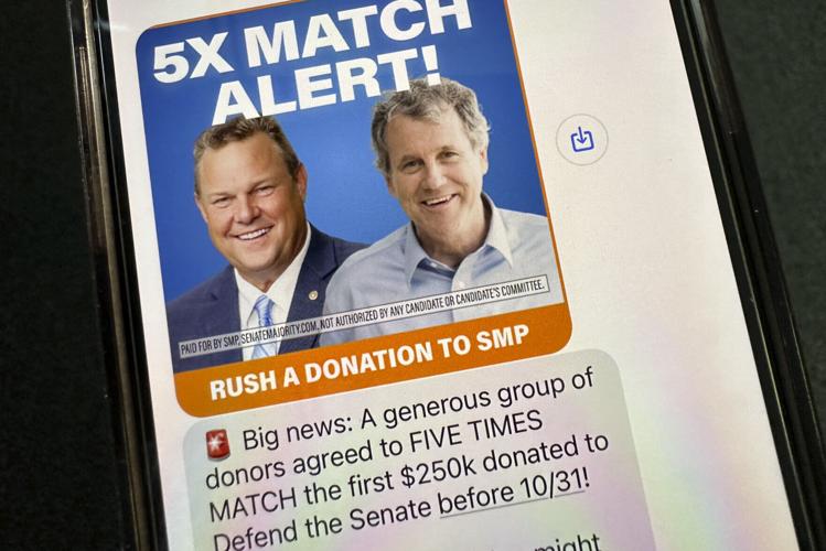 Election 2024 Text Pestering