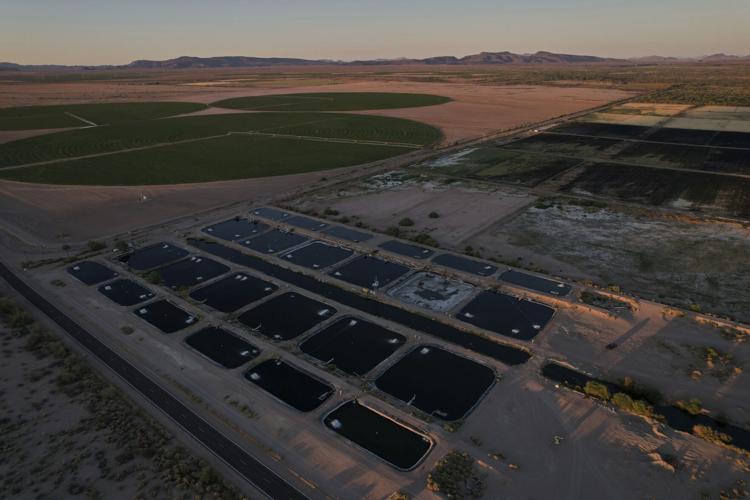 Climate Desert Fish Farms