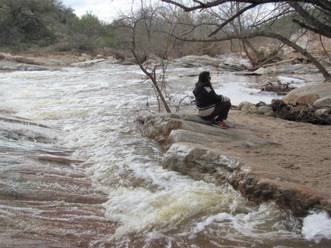 Sabino Creek visitor