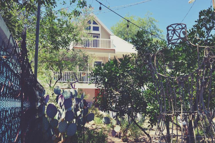 Sheard garden