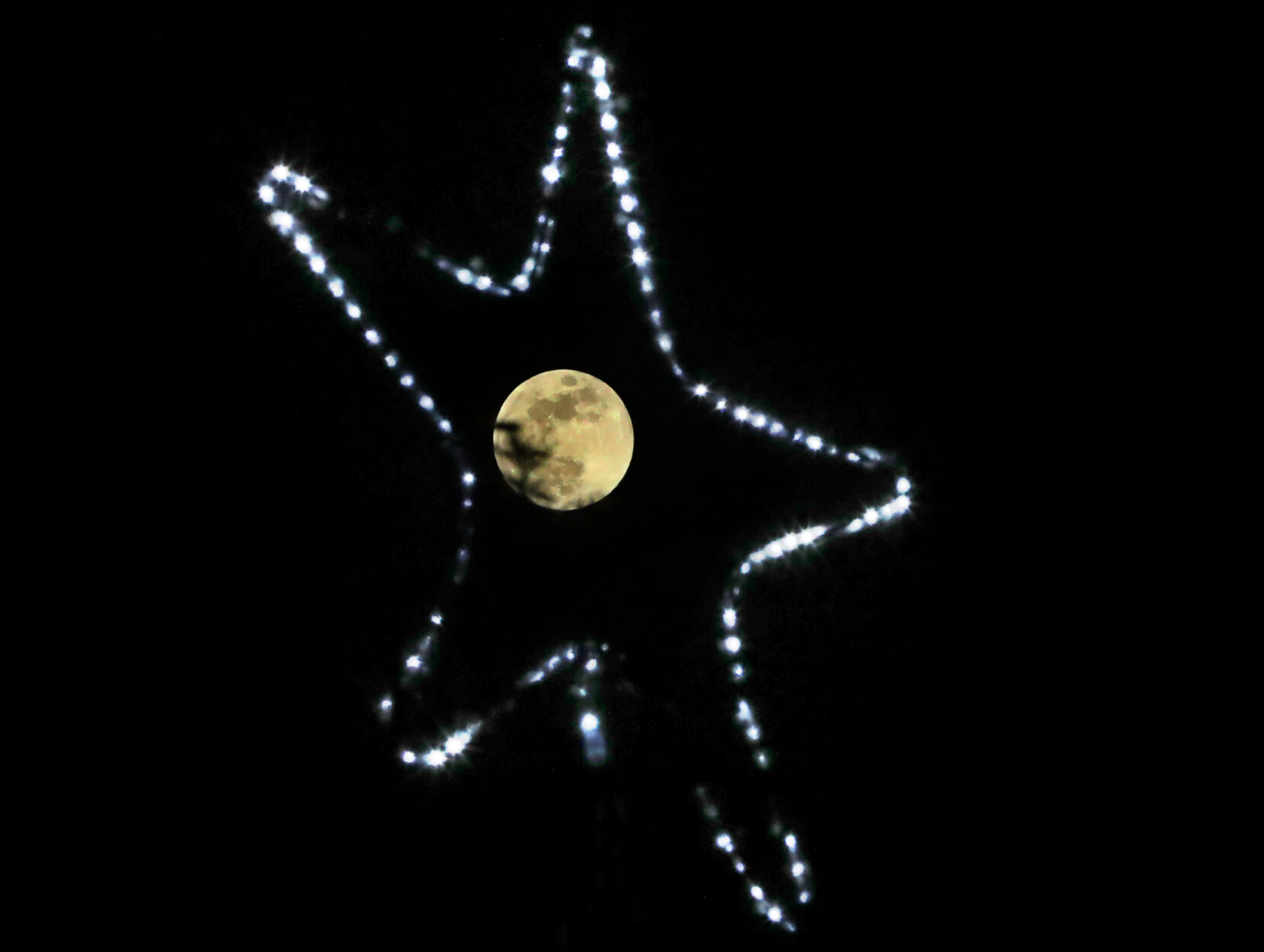 Photos ZooLights Holiday Magic at Reid Park Zoo