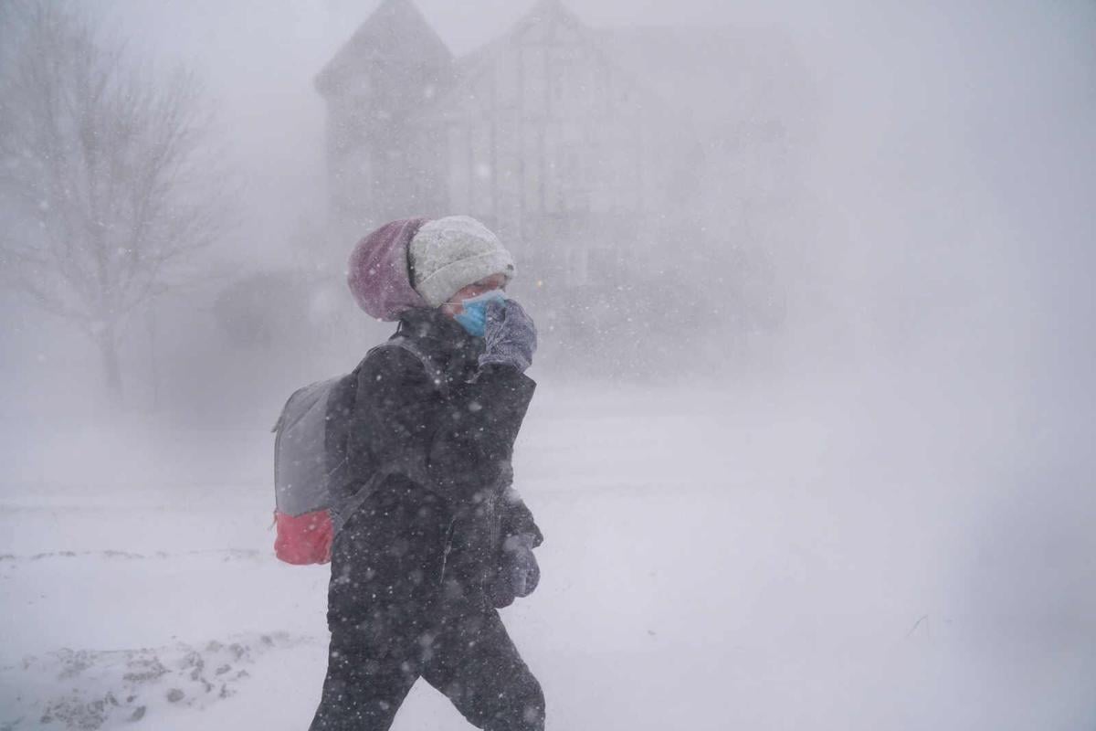 Buffalo Blizzard (copy)