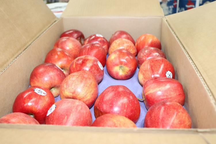 Arizona Tax Credits: Community Food Bank of Southern Arizona