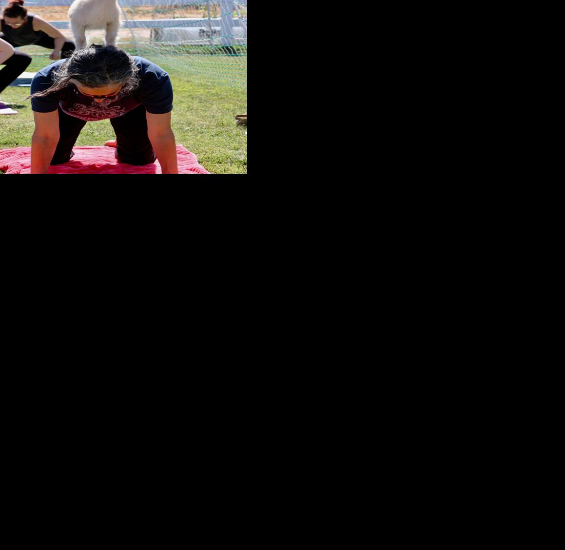 Goats of Tucson Yoga (copy)