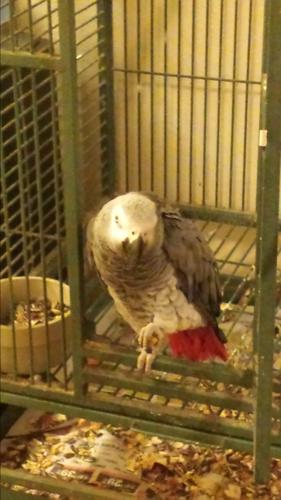 Happy National Dog Day!