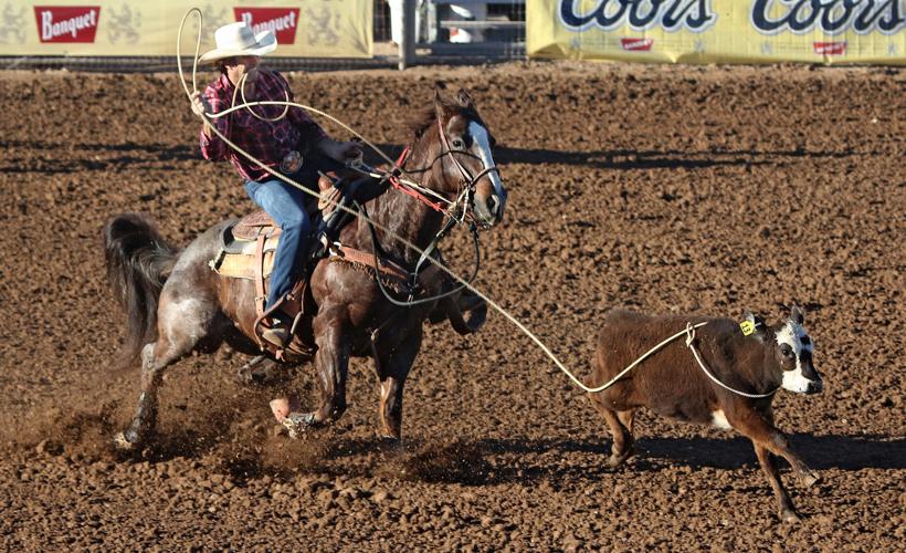 Tucson Rodeo action