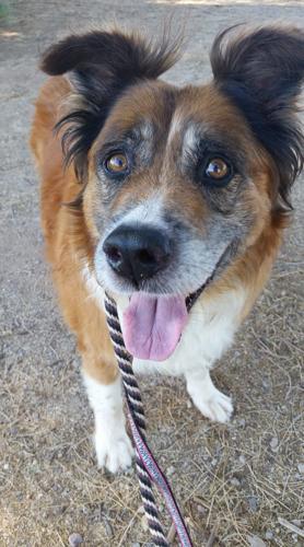 Adopt a friend: Ted McLovin